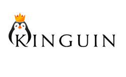 Kinguin.net indirim kodu alt limitsiz %3 değerinde
