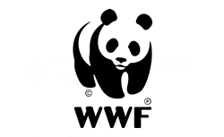 Süper Fikir: WWF Market siparişini kupon olmadan ucuzlatma tüyosu